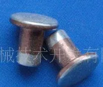 Conditions techniques de trois rivets en alliage en argent composite